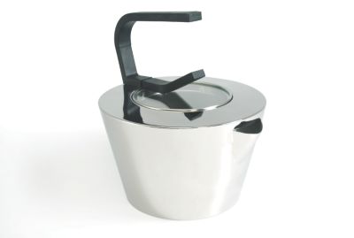 Well Shiny Stainless Teakettle